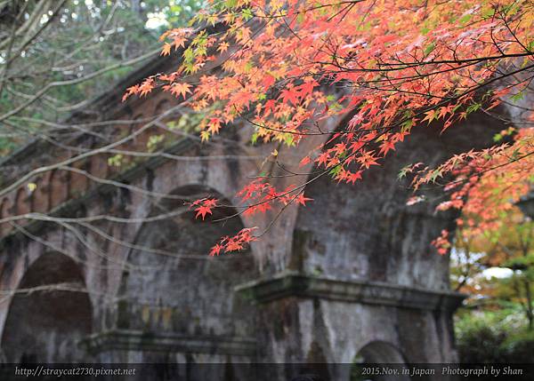 南禪寺08.jpg