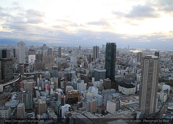 梅田夜景19.jpg