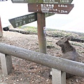 東大寺05.jpg