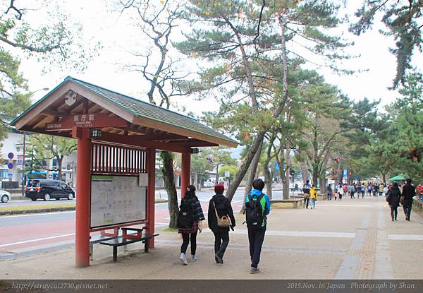 東大寺06.jpg