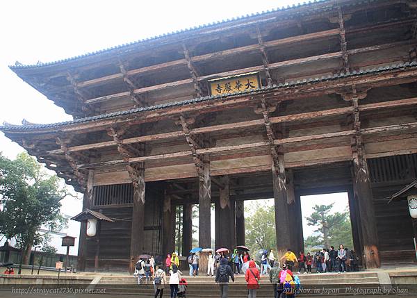 東大寺39.jpg