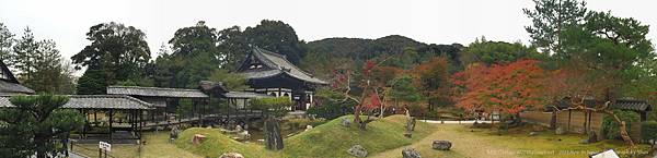 京都26-東山區高台寺.jpg