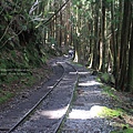 特富野古道10.jpg