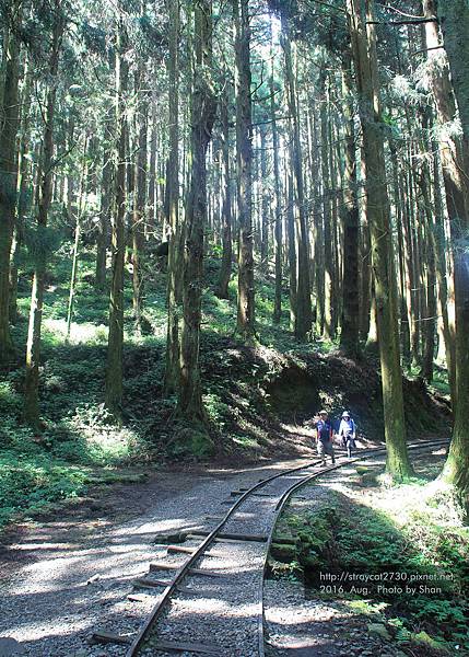 特富野古道20a.jpg