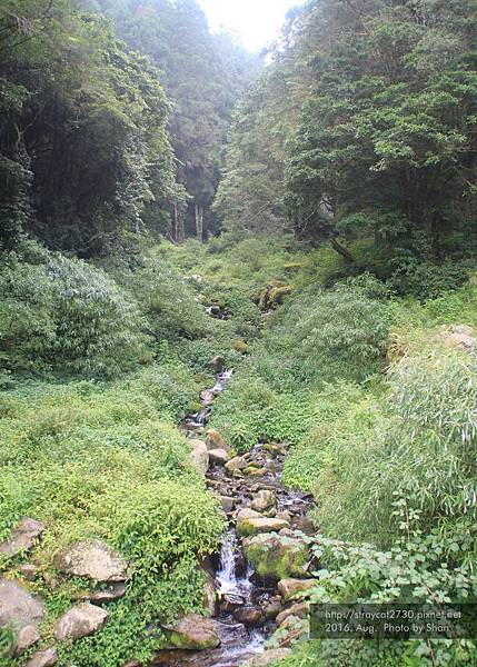 特富野古道29.jpg