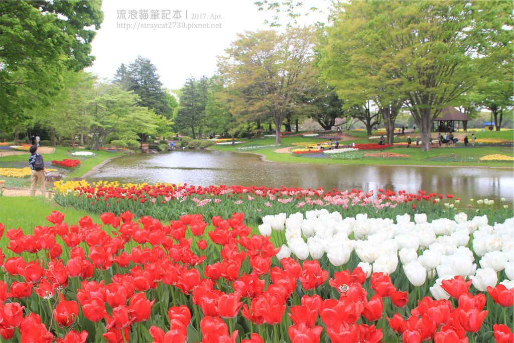 日本東京 賞花 昭和記念公園 鬱金香 六本木之丘 森大樓 夜景 流浪貓筆記本 痞客邦