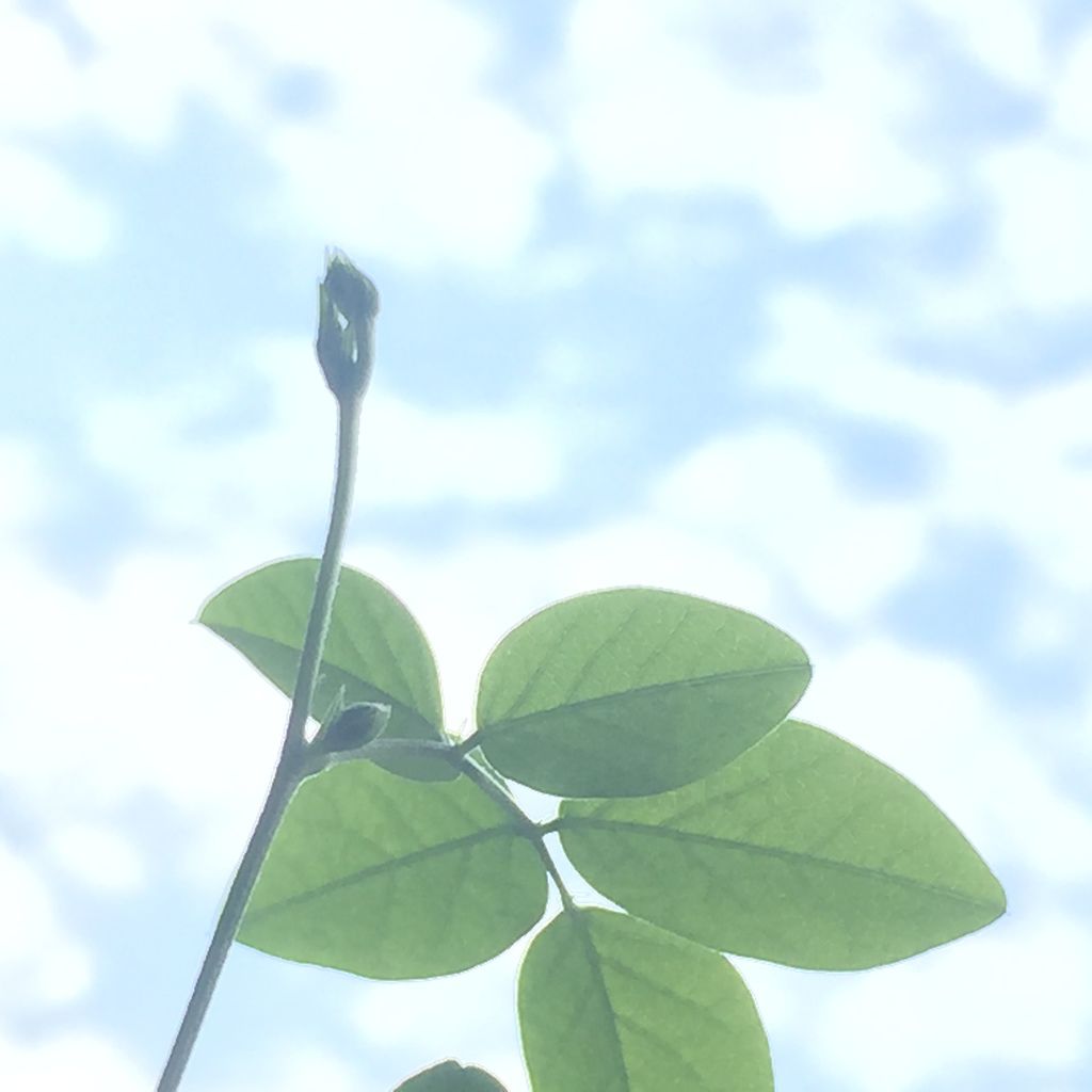 2018-12-21 08.56.27 HDR.jpg