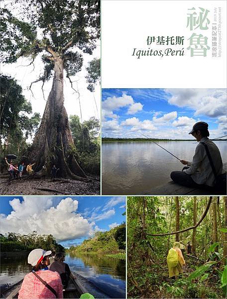 南美祕魯-Iquitos01伊基托斯-3天2夜的亞馬遜雨林探險