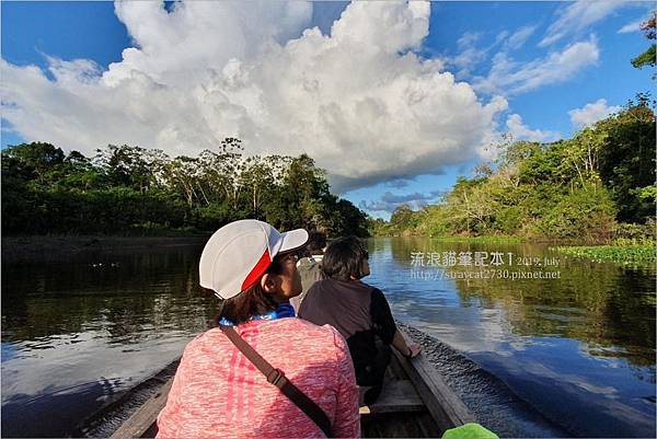 南美祕魯-Iquitos07伊基托斯-3天2夜的亞馬遜雨林探險