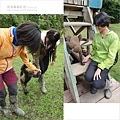 南美祕魯-Iquitos13伊基托斯-亞馬遜雨林探險，猴子島