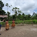 南美祕魯-Iquitos18伊基托斯-亞馬遜雨林，吹箭體驗