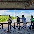 南美祕魯-Iquitos21伊基托斯-亞馬遜雨林，釣食人魚