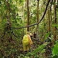 南美祕魯-Iquitos29伊基托斯-亞馬遜雨林探險