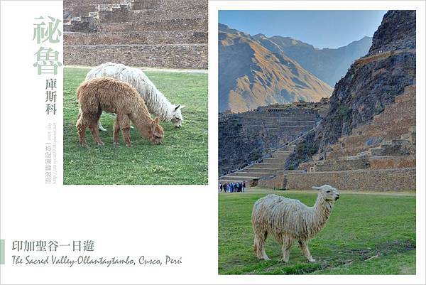 南美祕魯-聖谷Sacred Valley20.jpg