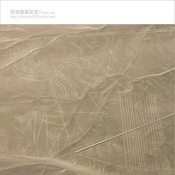 南美祕魯-伊卡Nazca13.jpg