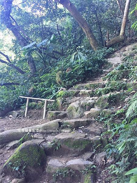 桃園登山-溪洲山11.jpg