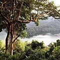 桃園登山-溪洲山32-溪洲山健行步道往石門水庫方向，休息賞景