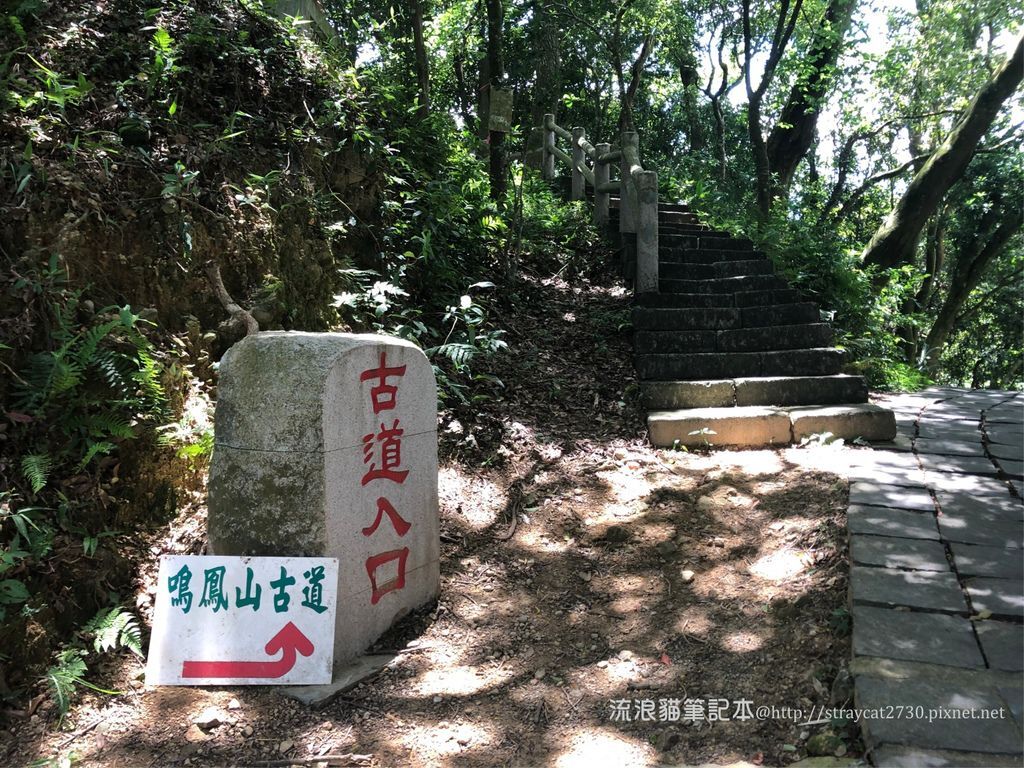 苗栗健行-鳴鳳古道14.jpg