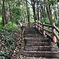 苗栗健行-鳴鳳古道24由雲洞宮走鳴鳳古道，階梯看不到盡頭