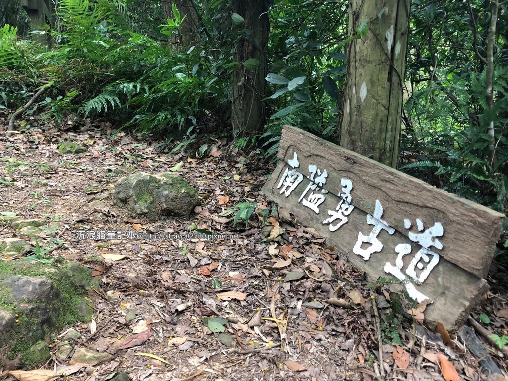 苗栗健行-鳴鳳古道27.jpg