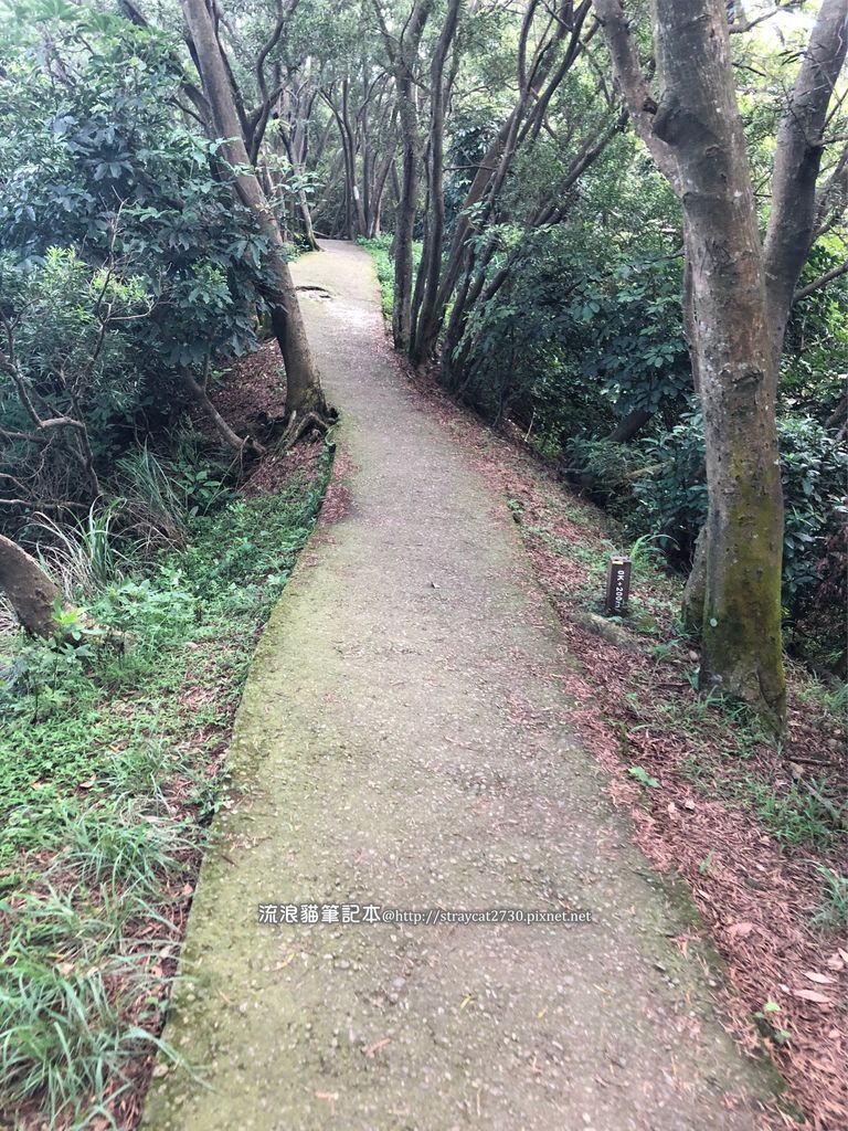 桃園登山健行-五酒桶山步道08.jpg