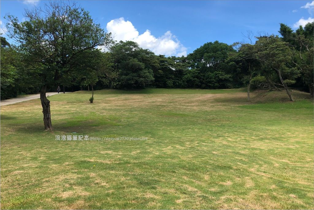 桃園登山健行-五酒桶山步道17.jpg