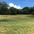 桃園登山健行-五酒桶山步道17-活動綠地大草坪