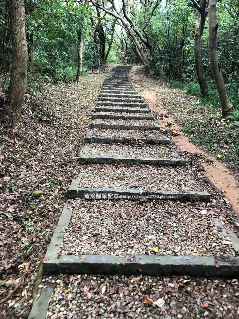 桃園登山健行-五酒桶山步道19.jpg