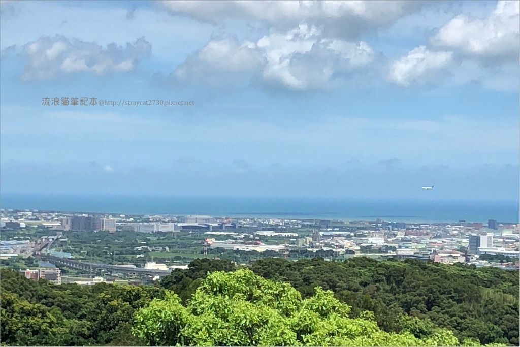 桃園登山健行-五酒桶山步道23.jpg