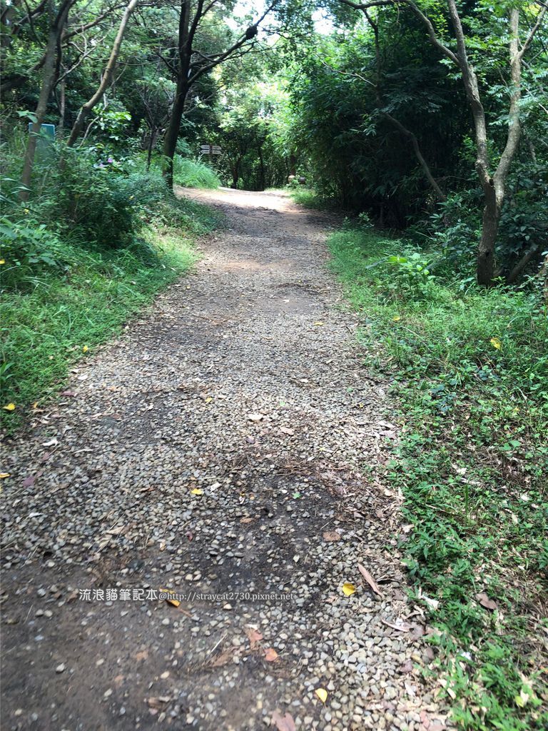 桃園登山健行-五酒桶山步道36.jpg