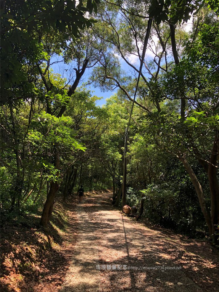 桃園登山健行-五酒桶山步道37.jpg