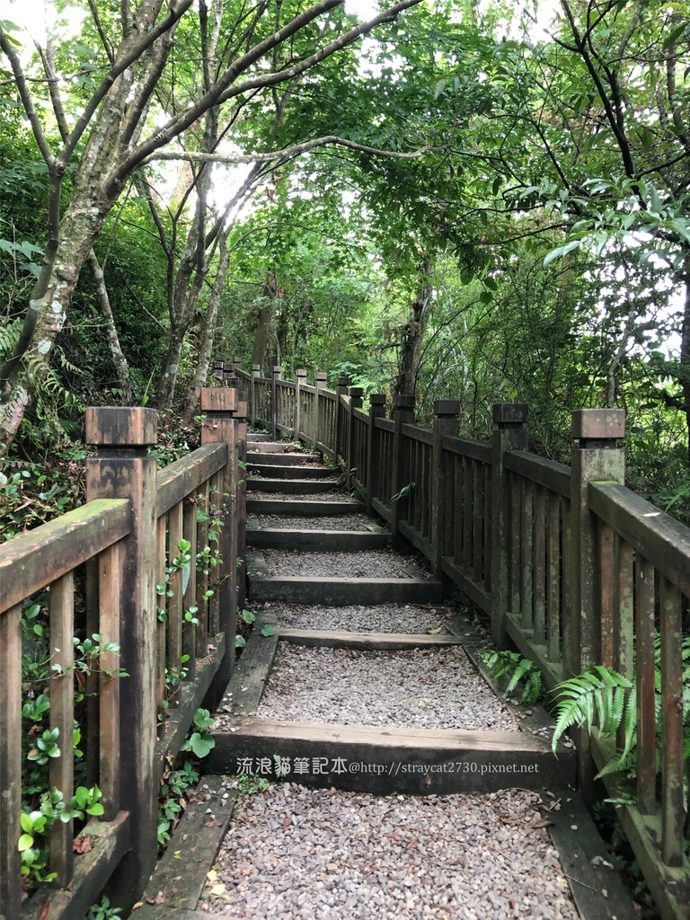 桃園東眼山04.jpg