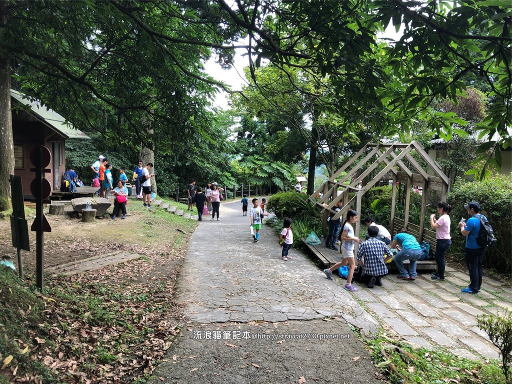 桃園東眼山18.jpg