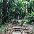 桃園東眼山27-自導式步道，往東眼山三角點