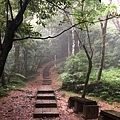 桃園東眼山29-自導式步道，往東眼山三角點，午後雷陣雨