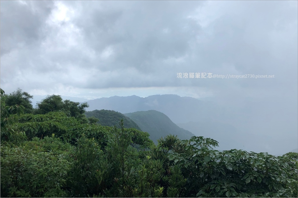 桃園東眼山33.jpg