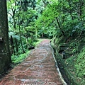 桃園東眼山48-景觀步道，平緩，老少咸宜