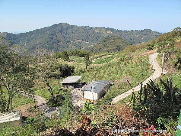 桃園東眼山60-東眼山林道景觀