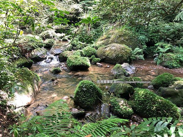 新北瑞芳-三貂嶺越嶺猴硐步道14a.jpg