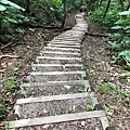 新北瑞芳-三貂嶺越嶺猴硐步道42-長長的下坡階梯，越嶺步道不斷的上坡下坡