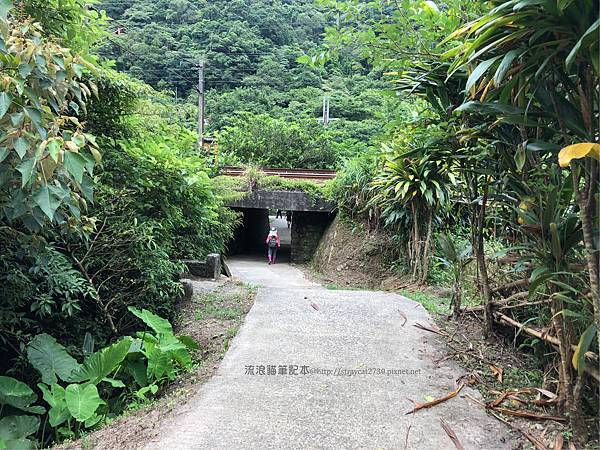 新北瑞芳-三貂嶺越嶺猴硐步道51.jpg