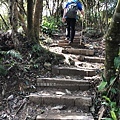 台北大崙頭山12-林蔭步道，緩緩上坡