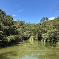 台北大崙頭山15-大崙湖，步道中經過，為半人工堰塞湖，早期用於農業灌溉