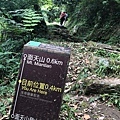 【台北大縱走1】二子坪-清天宮_10往面天山.jpg