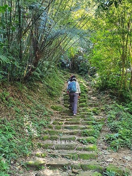 桃園步道-打鐵寮古道14-1.jpg