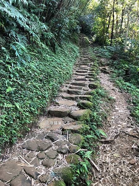 桃園步道-打鐵寮古道17.jpg