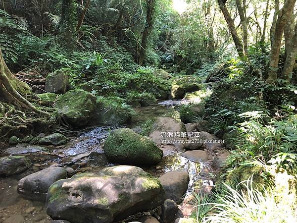 桃園步道-打鐵寮古道23.jpg