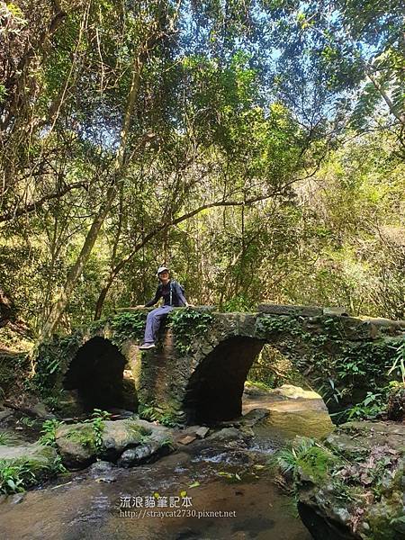 桃園步道-打鐵寮古道36.jpg