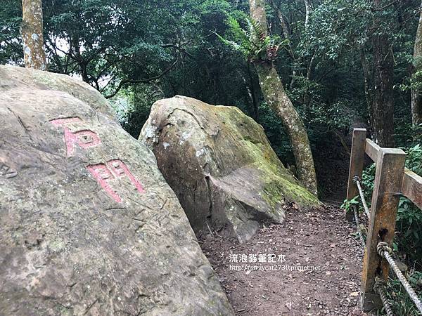 苗栗馬那邦山11.jpg