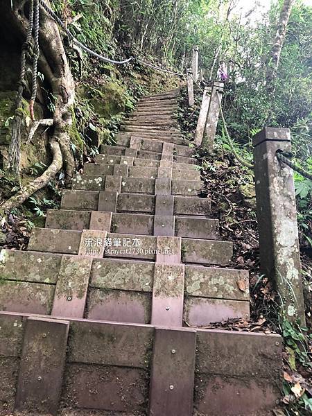 苗栗馬那邦山19好漢坡-好漢坡，接近山頂的陡上